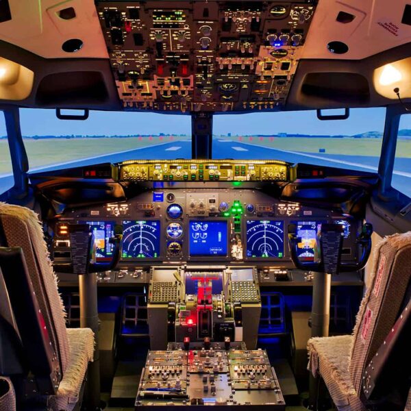 B737 PRO PILOT SESSION (DRY LEASE)